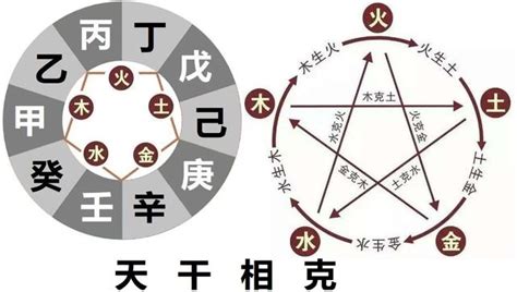 天干五合原理|传统文化阴阳五行，十天干五合奥秘，甲己合化土的原。